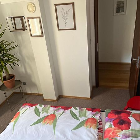Apartman S Wellness Sluzbami Čerčany Buitenkant foto