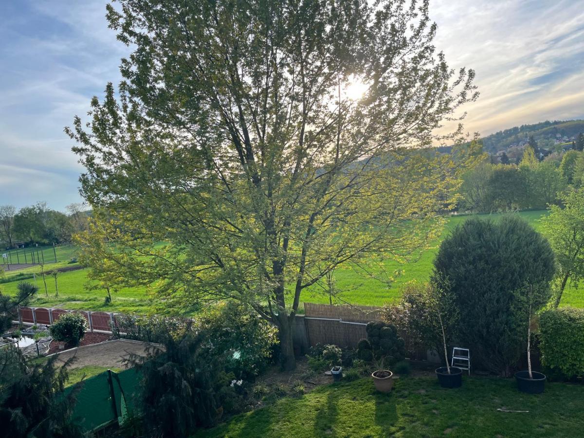 Apartman S Wellness Sluzbami Čerčany Buitenkant foto